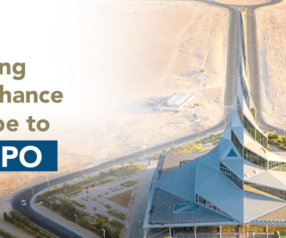 DEWA's IPO